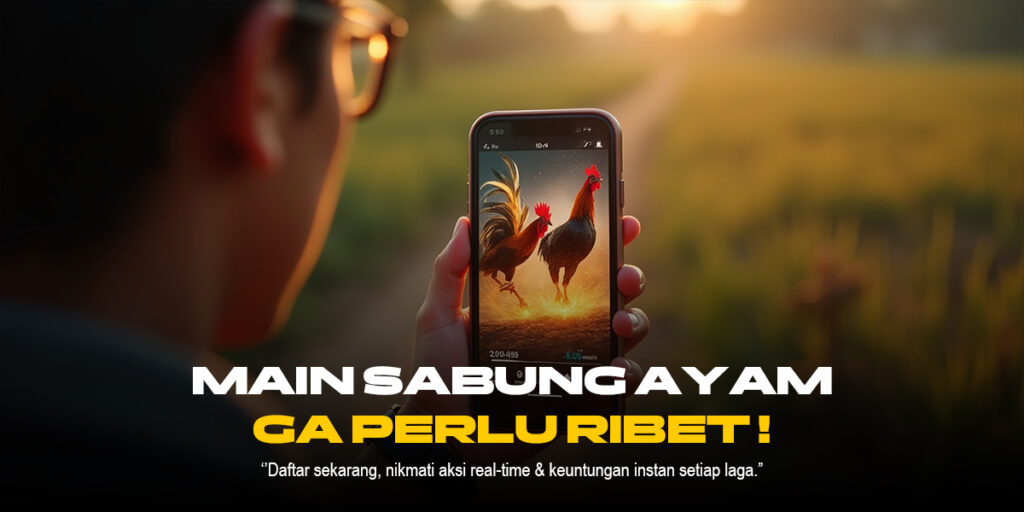 Sabung Ayam: Tradisi, Kontroversi, dan Perkembangannya di Indonesia