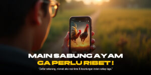Sabung Ayam: Tradisi, Kontroversi, dan Perkembangannya di Indonesia