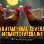 Mengenal Jenis Ayam Bangkok dalam Sabung Ayam SV388