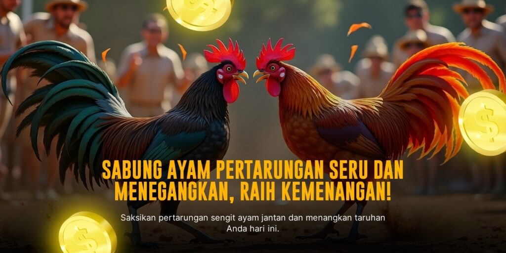 Jenis Ayam Bangkok: Raja Sabung Ayam dengan Kekuatan dan Kecepatan