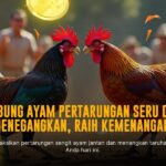Jenis Ayam Bangkok: Raja Sabung Ayam dengan Kekuatan dan Kecepatan