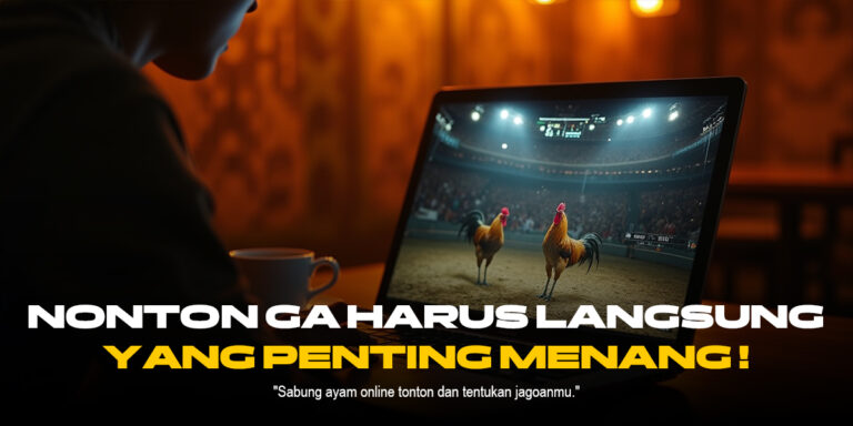 Mengenal Jenis Ayam Aduan Unggulan di SV388 Sabung Ayam