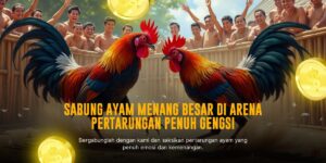 Membedah Sabung Ayam SV388: Sensasi Taruhan Ayam Jago Modern