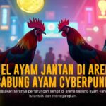 Mengenal Ayam Bangkok: Raja Sabung Ayam dengan Odds Terbaik di SV388