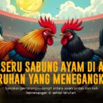 Mengulik Jenis Ayam Laga Terbaik di Sabung Ayam Online